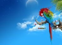 pic for lovely parrot 